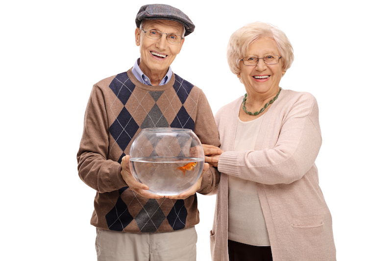 Elderly person watching fish in an aquarium, demonstrating therapeutic benefits for Alzheimer's patients