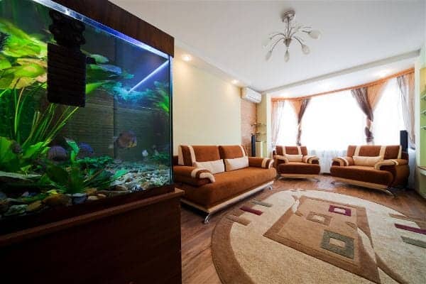 Stunning large aquarium as a focal point in modern interior