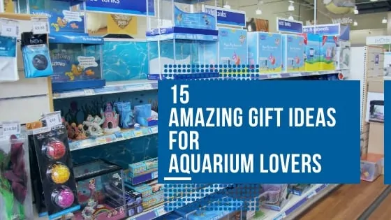 Gift ideas for aquarium lovers