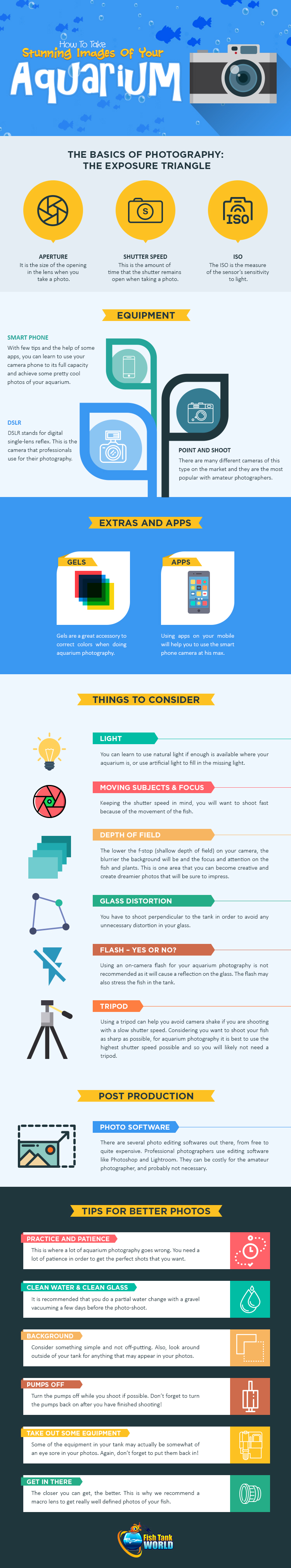 Infographic showing aquarium photography tips including lighting, camera settings, and composition techniques