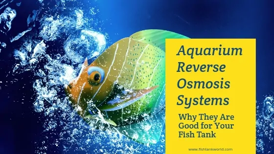 Aquarium reverse osmosis water purification system