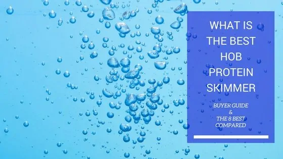 Hang-on-back protein skimmer mounted on a reef aquarium