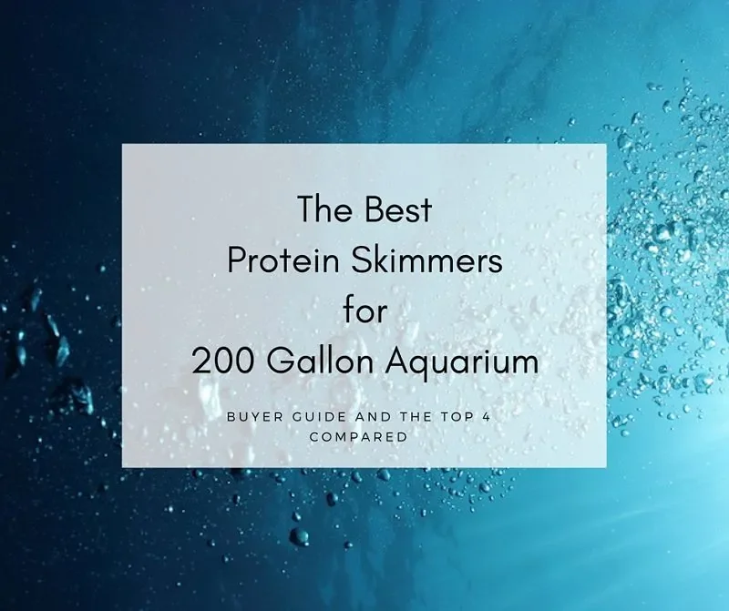 Protein skimmer producing foam in a large reef aquarium sump