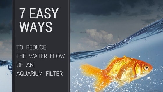 Aquarium filter with reduced water flow