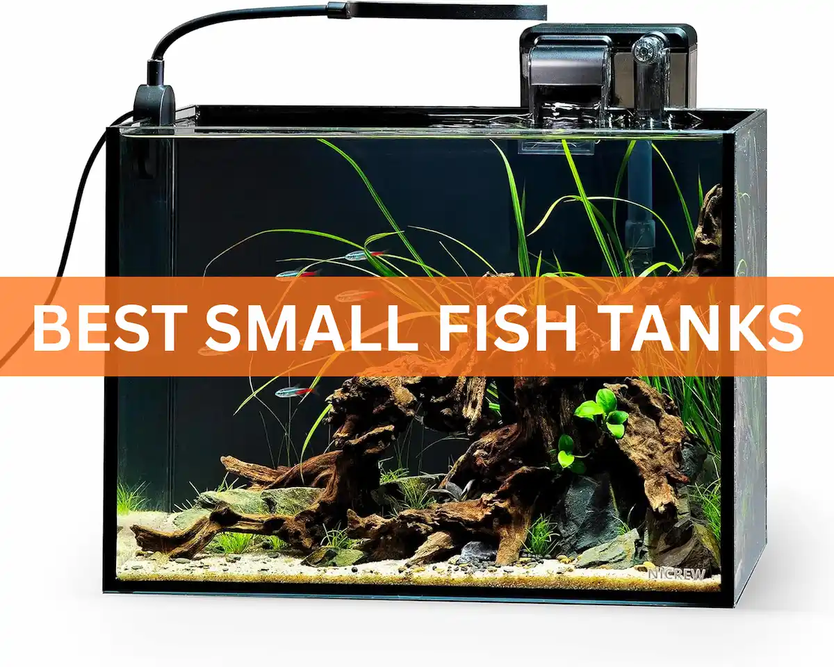 Best small fish tanks comparison showing nano aquarium kits