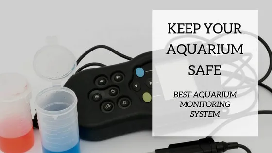 Aquarium monitoring equipment including digital thermometer and water test kit beside a freshwater tank