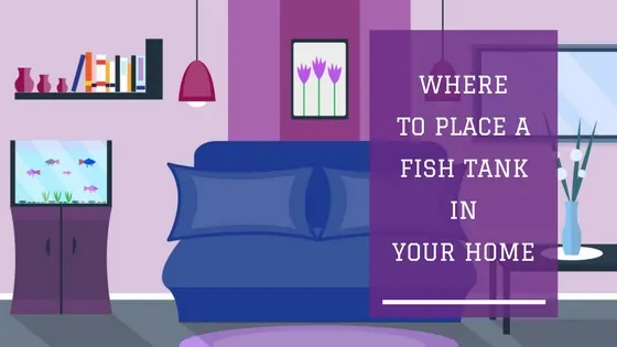 Where to place a fish tank in your home — considering electrical access and safety