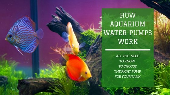 Aquarium water pump guide showing pump components and water flow
